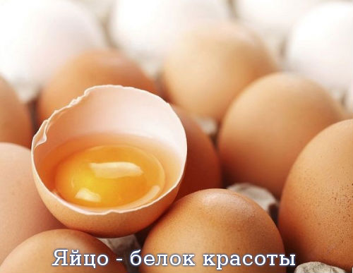 Яйцо - белок красоты